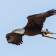 Spirit in flight (Photo: Dennis Schroeder/National Renewable Energy Lab)